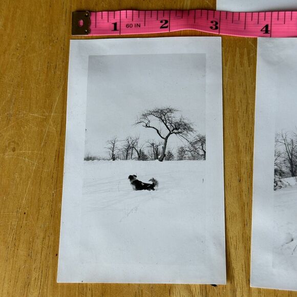 1940 Photos x6 Winter Snow Storm Charter Oak Clubhouse Greenbrier Rd Gopher Film - Picture 3 of 9